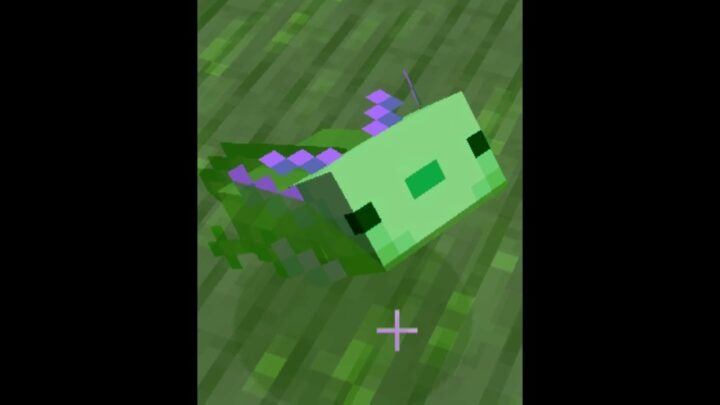 How To Get a Blue Axolotl | Minecraft Surviva...