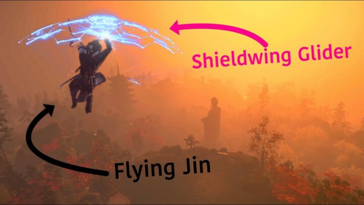 What if Jin had... a Shield Wing?   // Ghost ...
